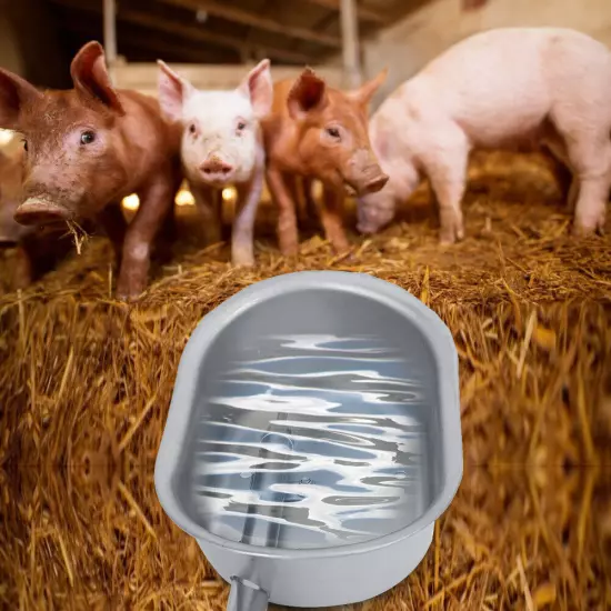 Stainless Steel Piglets Farm Livestock Pig Feeding Drinking Water Bowl Access US