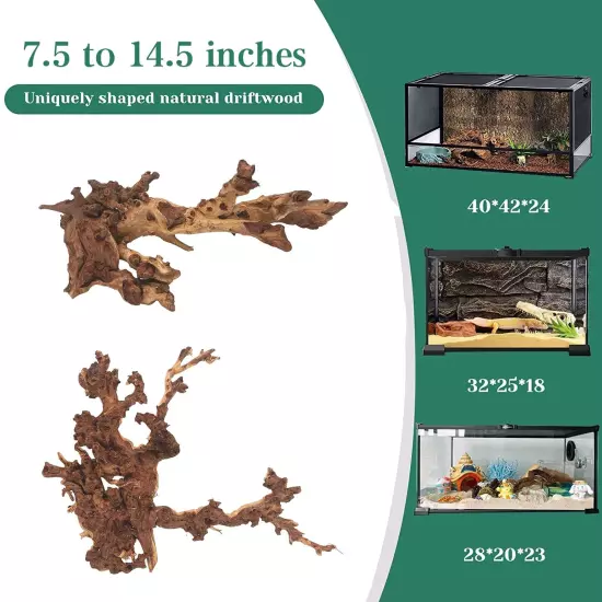 Natural Large Driftwood for Aquarium Fish Tank Decorations Assorted Branches ...