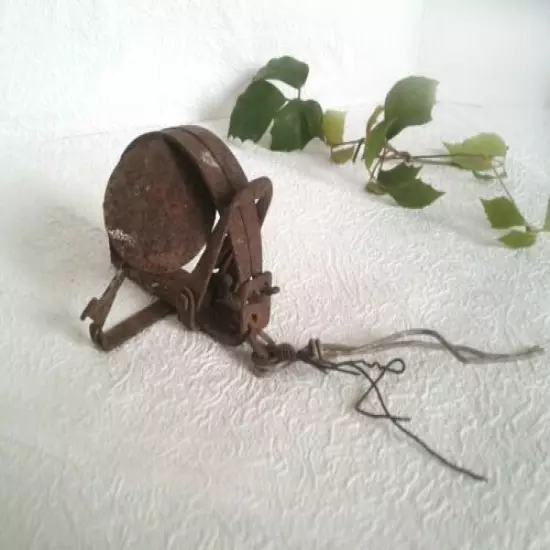 Antique Animal Trap Small Hunting Tool Salvage Rusty Metal Cabin Fireplace Decor