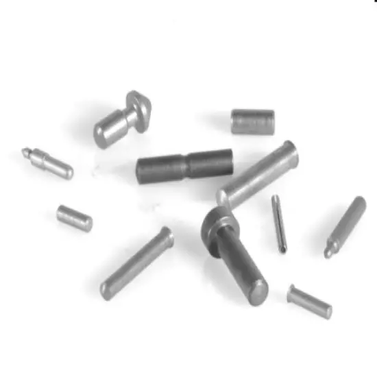 Evolution Gun Works EGW - 1911 11-Piece Pin Set - Stainless Steel 10031