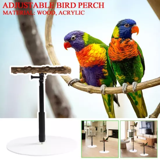 Stable Bird Parrot Training Exercise Adjustable Playstand Cage DD