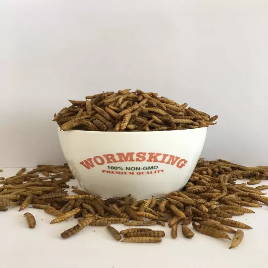 5.5LB Dried Black Soldier Fly Larvae, More Calcium Than Dried Mealworms