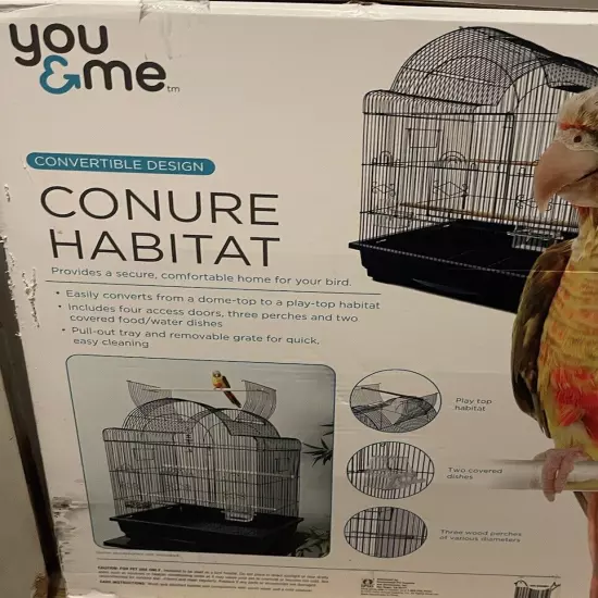 You And Me Conure Habitat