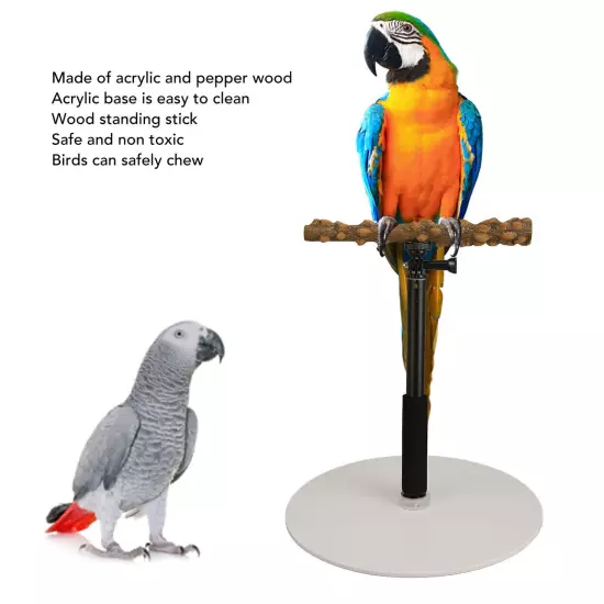 Adjustable Bird Perch Portable Detachable Parrot Play Stand for Indoor Outdoor