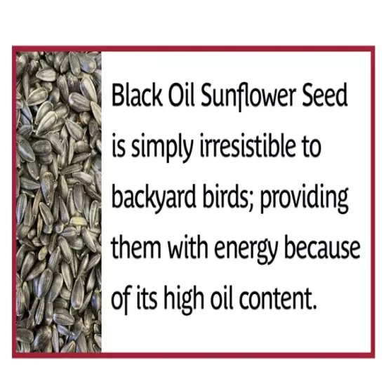 Pennington Select Black Oil Sunflower Seed Dry Wild Bird Feed 40lb Bag