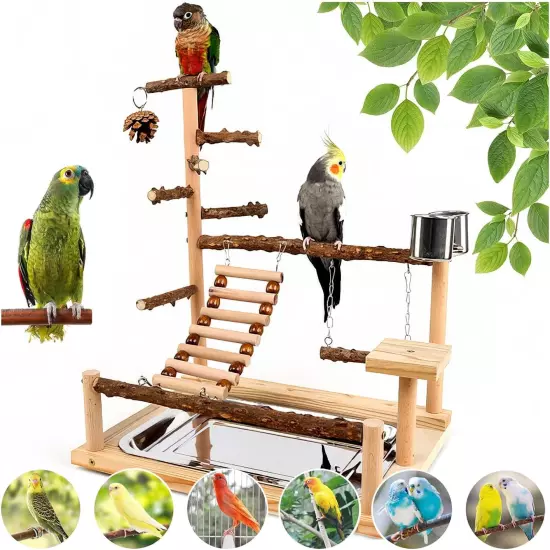 Bird Playground, Parrot Perch Stand, Natural Wood Bird Play Stands for Cockatiel