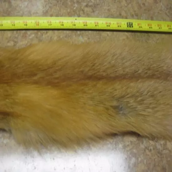 Tanned Red Fox Hide Coats Taxidermy #00004257 Row A-8