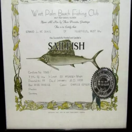 Vintage 1939 West Palm Beach Fishing Club Certificate for 7ft 53lbs Sailfish