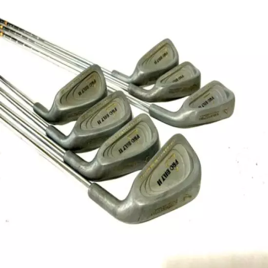 Northwestern Pro Bilt II Set Of Golf Club Irons 4-9 + P RH Steel Pro-Flex