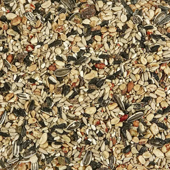 Kaytee Wild Bird Food Nut & Fruit Seed Blend for Cardinals, Chickadees, Nuthatch