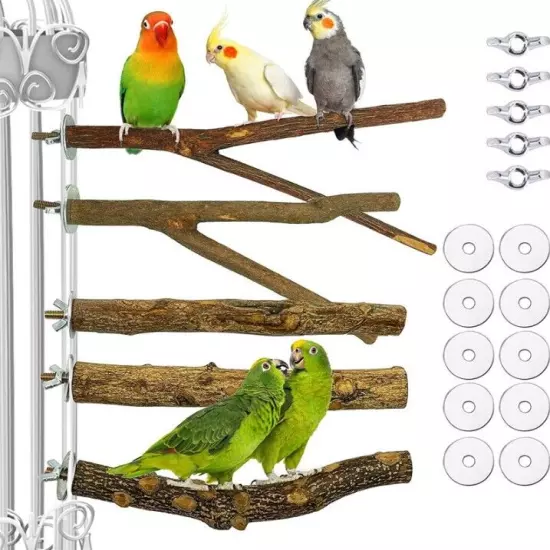 5 Pieces Natural Wood Bird Perch Wooden Parrot Perch Stand Fork Toys Hanging Mul