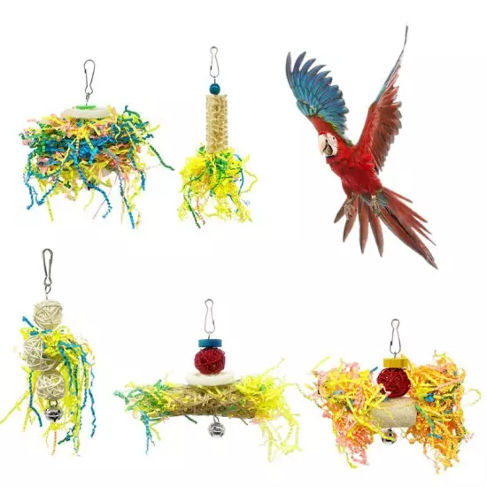 5 Piece Bird Parrot Chewing Rattan Foraging Toy for Parakeets