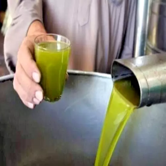 A Bottle Of Cold-Pressed Extra Virgin Olive Oil With a Capacity Of One And a Hal