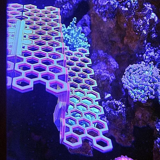 Magnetic FRAG STATION HUB Reef plug holder live coral reef saltwater aquarium