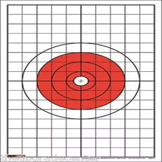 250 EZ2C Targets Style 5 Rifle or Pistol Targets with 1" Grids (250 pack) 