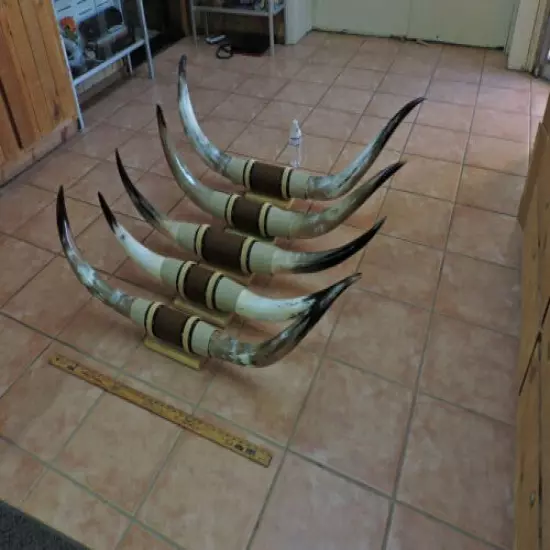 MOUNTED STEER HORNS 4' - 4' 5" TIP TO TIP (1 SET) COW BULL HORNS LONGHORNS 