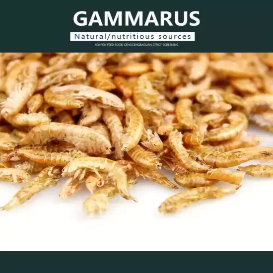 Freeze Dried Gammarus Shrimp 1L - Fish Food Turtle Terrapin Koi Tropical Protein