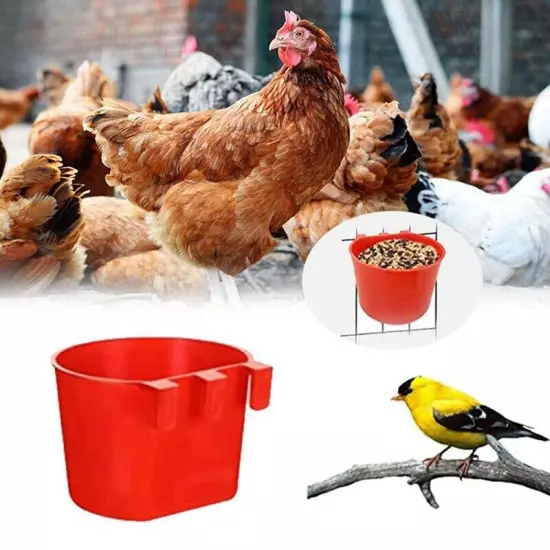 40Pcs Chickens Feeders for Cage,Hanging Chicken Water Feeder Cup, Plastic6326