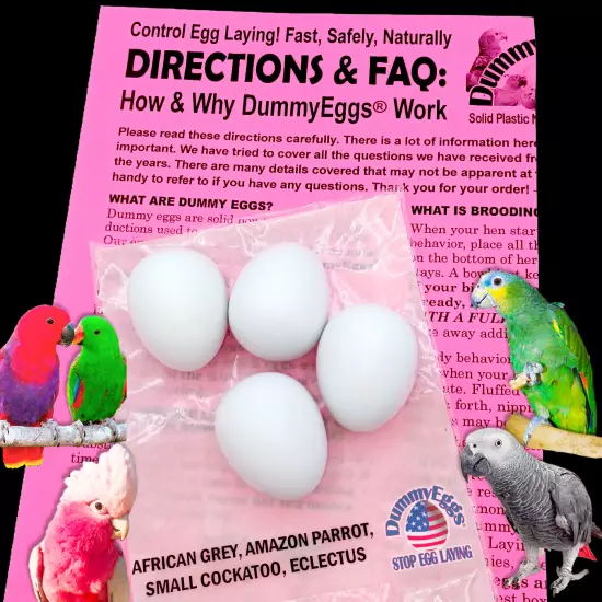 DummyEggs PLASTIC MED PARROT BIRD EGGS STOP LAYING! African Grey Amazon Eclectus