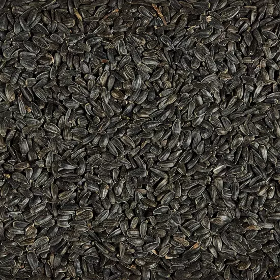 Wild Bird Black Oil Sunflower Food, 5 Pounds