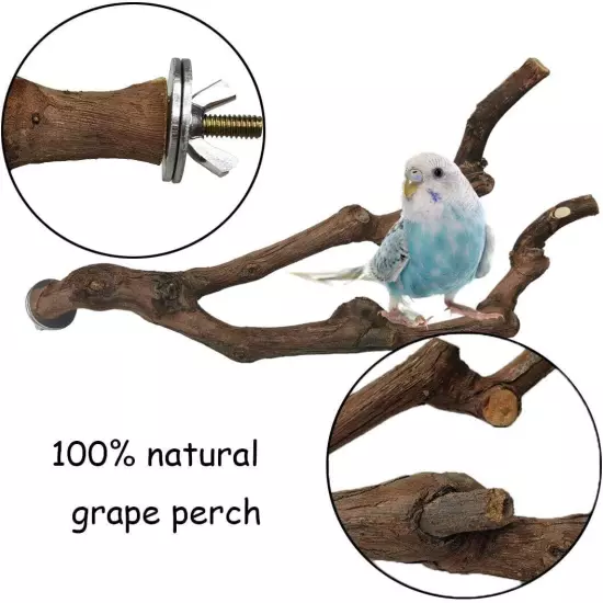 kathson Natural Parrot Perch Bird Stand Pole Wild Grape Stick Paw 4PCS 