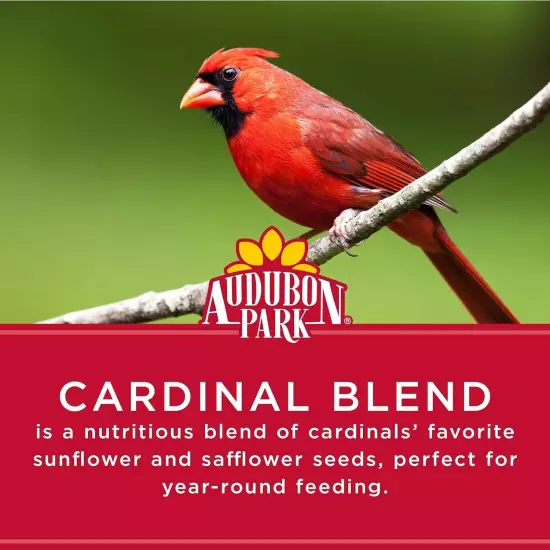 Cardinal Blend Wild Bird Food Cardinal Bird Seed for Outside Feeders 4-Pound Bag