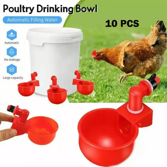 Automatic Cups Chicken Water Cup Bowl Feeder Drinker Waterer Poultry Chook Bird