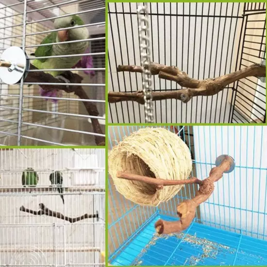 Pet Standing Stick Wild Grape Wood Pole Parrot Parakeet Station Bite Claw Toy