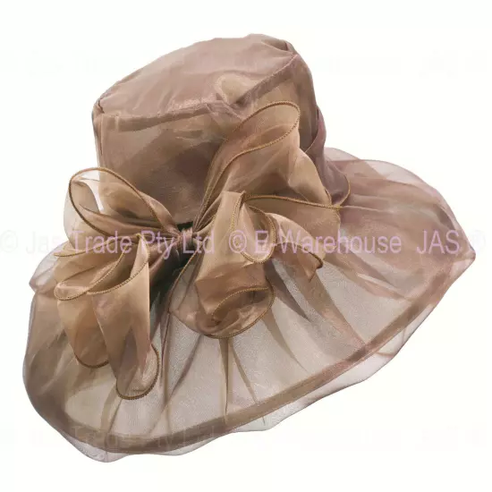 Spring Race Carnival Derby Day Church Wedding Women Ladies Organza Evening Hat