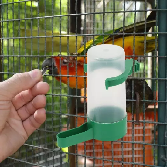 80Pcs Automatic Parrot Waterer Bird Water Feeder Pigeon Drinker Quail Drinker