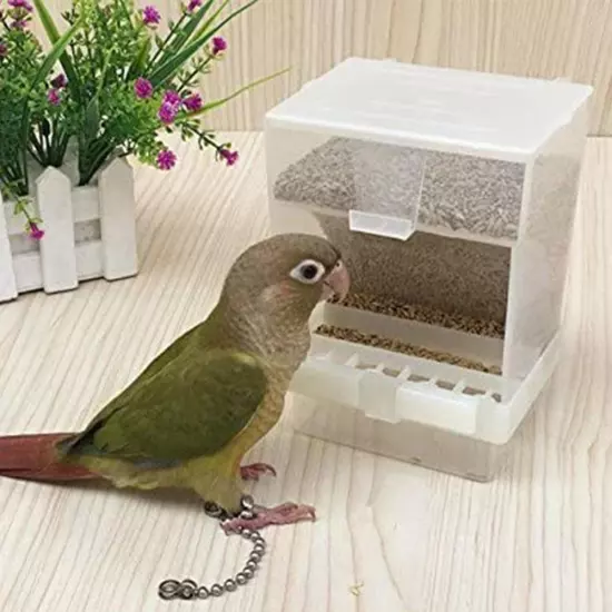 Transparent Automatic Bird Feeder No-Mess Cage Accessories Pet Supplies Best