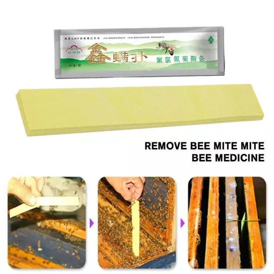 20Pcs Bee Mites Strip Medicine Pest Control Durable Drinker Beekeepin Fast