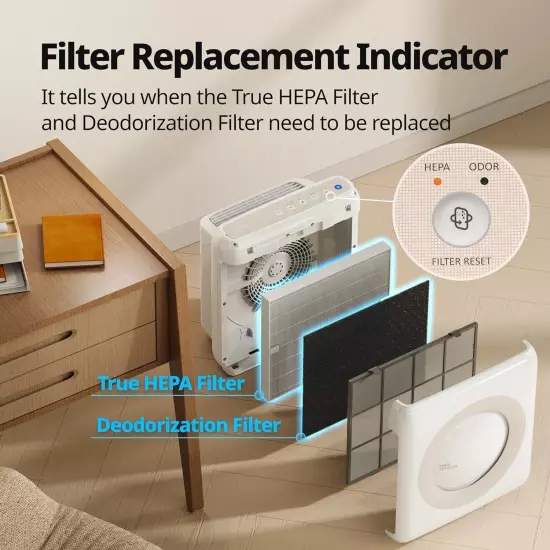 Airmega air Purifier Air Quality Monitoring Auto Timer Filter Indicator Eco Mode