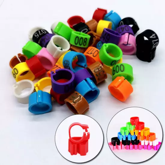 100pcs Plastic Bird Dove Pigeon Parrot Bird Clip Leg Rings Pet Supplies