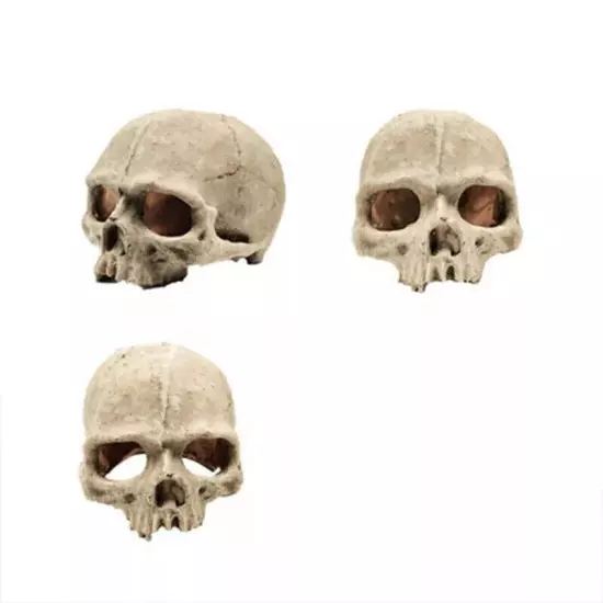 Artificial Fake Skull Head Bone Aquarium Ornament Fish Tank Decoration