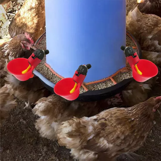 Automatic Feeder Poultry Water Drinking Cups for Poultry Chicken Hen Birds *