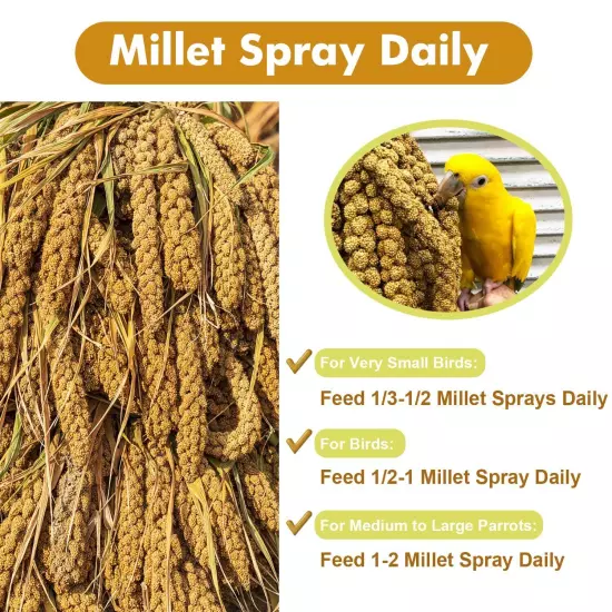 JmxuS 1LB Spray Millet Treat for Birds Parakeets Natural Sun-Dried Birds Mille