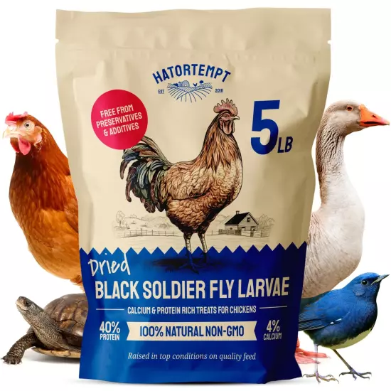 Black Soldier Fly Larvae for Chickens 5LB – Non-GMO Treat with More Calcium