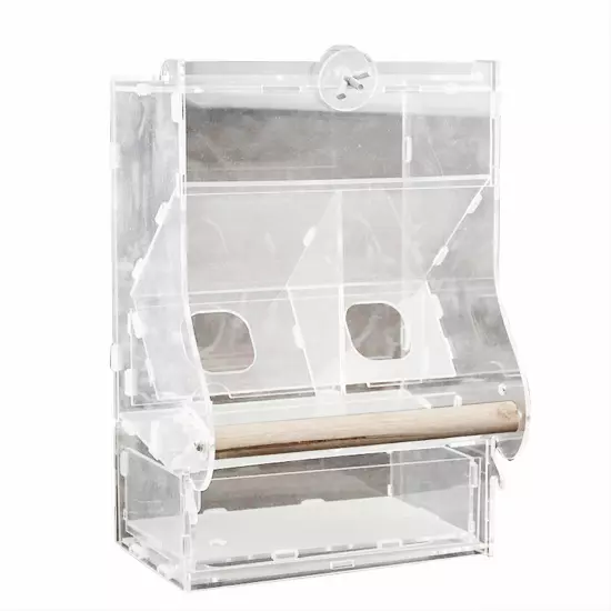 Acrylic Transparent Automatic Bird Feeder Parrots Canary Cockatiel Pet Supplies