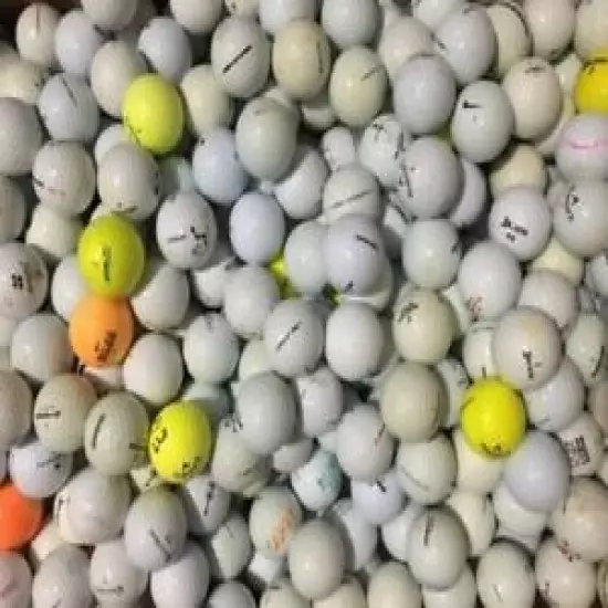 1000 Shag Used Golf Balls - FREE SHIPPING