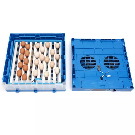 110V 12V chicken duck goose 64 egg incubator --Fully automatic dual power supply