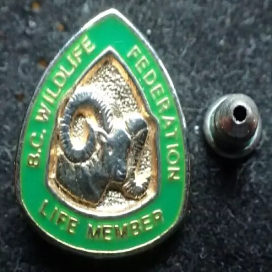 BC Wildlife Federation Life Member Pin