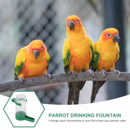 80Pcs Automatic Feeder Parrot Waterer Bird Water Feeder Pigeon Drinker Drinker