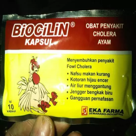 20 Capsules Biocilin for Chicken/Pigeon/Dove FOR Cholera/CRD