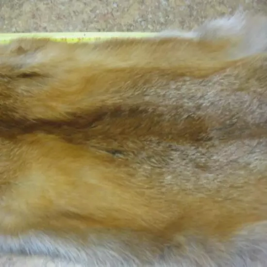 Tanned Red Fox Hide Coats Taxidermy #00004263 Row A-8