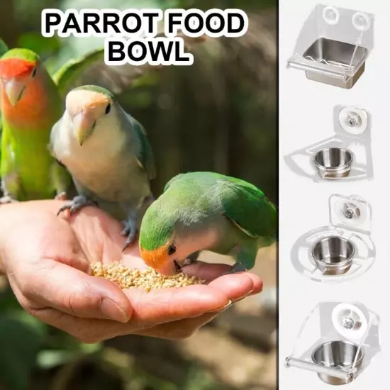 Bird Toy Automatic Parrots Feeders Drinker Acrylic Container Cage