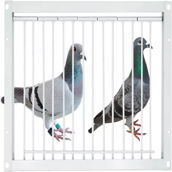 11.8In/30Cm Pigeon Cage Door One Way Entrance Door Bird T Trap Birdcage Iron Wir