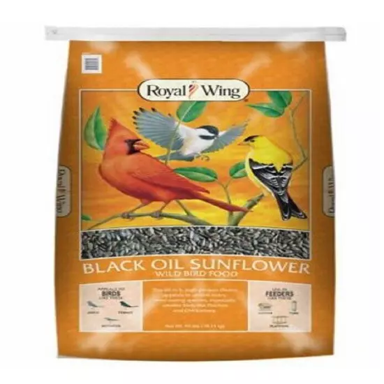 Royal Wing 10623 Pet Supplies 40 Pounds Black Oil Sunflower Wild Bird Food