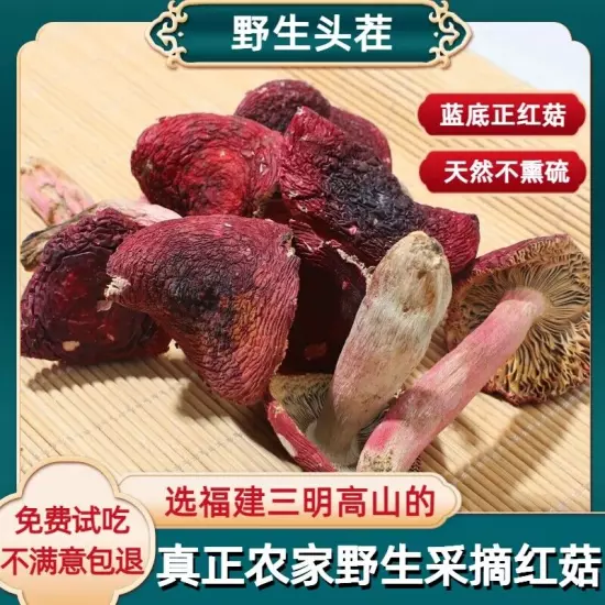 Wild red mushroom dried goods Fujian Zhenghong mushroom