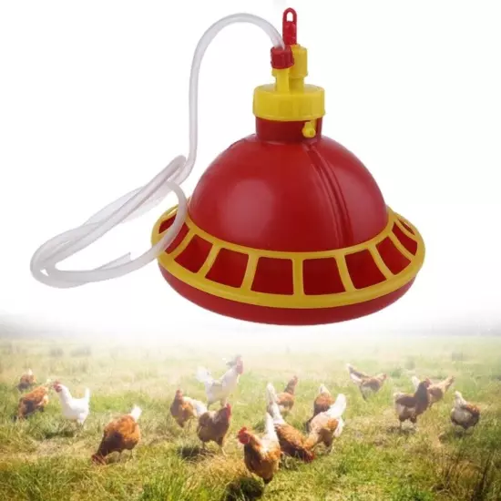 Chick Feeder Fed Water Dispenser No Waste Easy to Refill